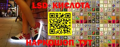 прущие грибы Кингисепп