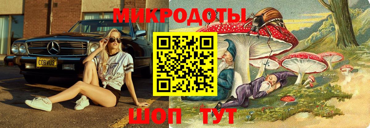 Псилоцибиновые грибы Magic Shrooms Арзамас