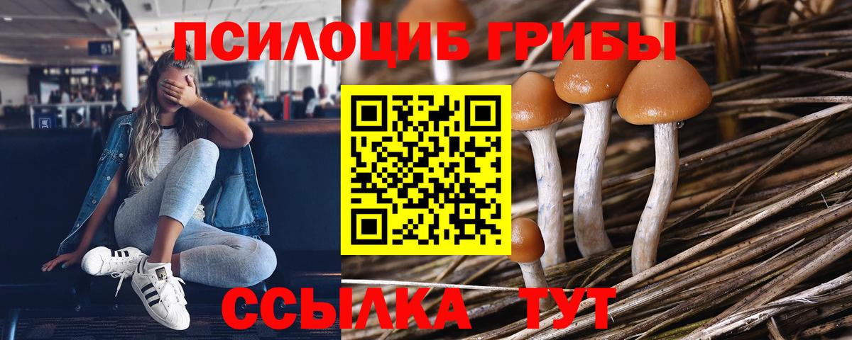Псилоцибиновые грибы мухоморы  Вход с VPN  Арзамас 